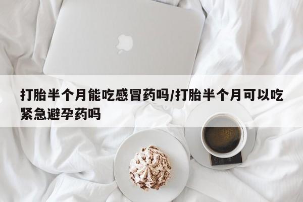 网上米非司酮片打胎药网店打胎半个月能吃感冒药吗/打胎半个月可以吃紧急避孕药吗