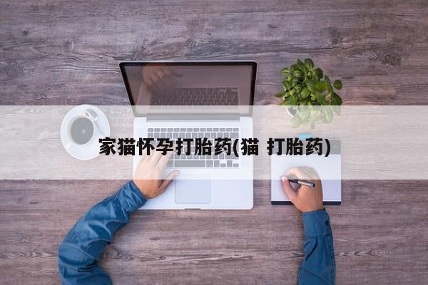 网上米非司酮片打胎药网店家猫怀孕打胎药(猫 打胎药)
